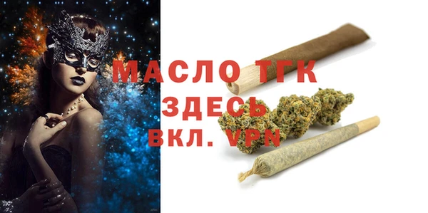 амф Гусев