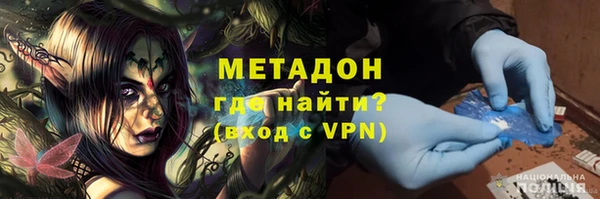 амф Гусев