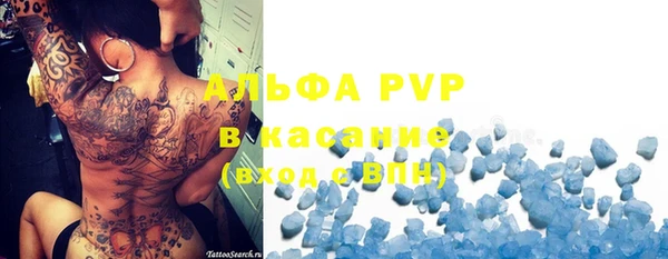 ПСИЛОЦИБИНОВЫЕ ГРИБЫ Гусь-Хрустальный