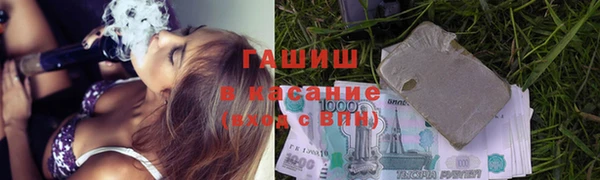 амф Гусев