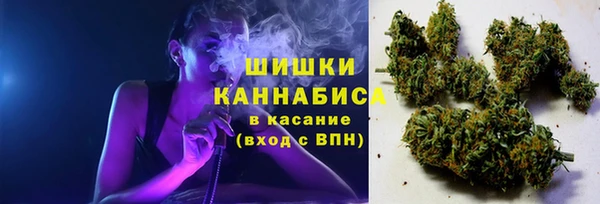 ПСИЛОЦИБИНОВЫЕ ГРИБЫ Гусь-Хрустальный