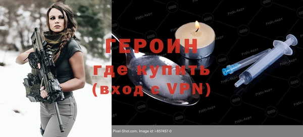 амф Гусев