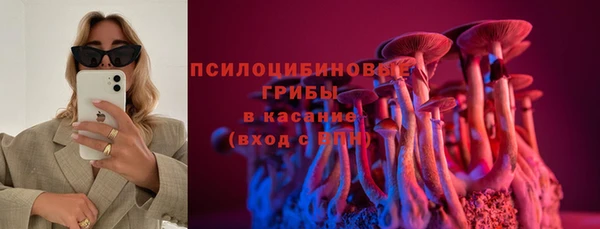 ECSTASY Гусиноозёрск