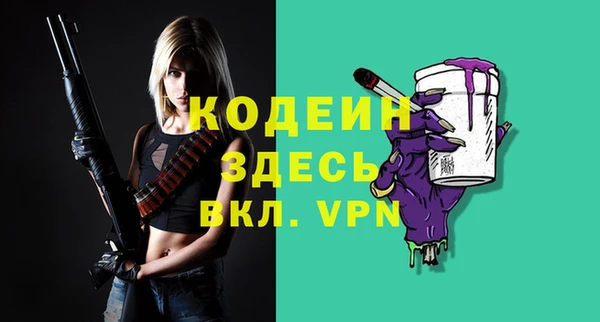 ПСИЛОЦИБИНОВЫЕ ГРИБЫ Гусь-Хрустальный