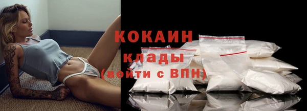 амф Гусев