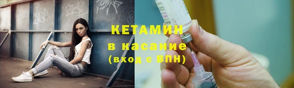амф Гусев