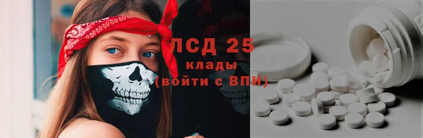 ПСИЛОЦИБИНОВЫЕ ГРИБЫ Гусь-Хрустальный