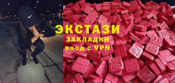 амф Гусев