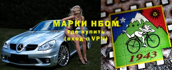 амф Гусев