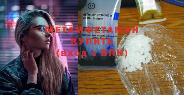 амф Гусев