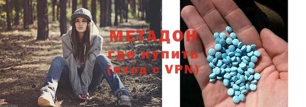 амф Гусев
